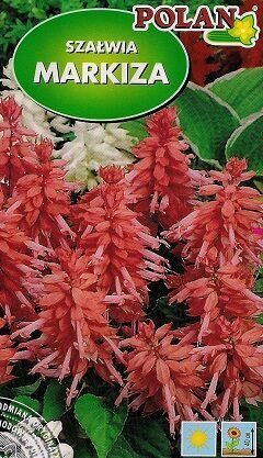 Spilgtā salvija MARKIZA 500 mg Polan